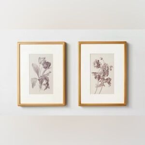 Hearth & Hand Magnolia 6x8 Floral Sketch Framed Wall Art Cream/Grey (Set of 2)